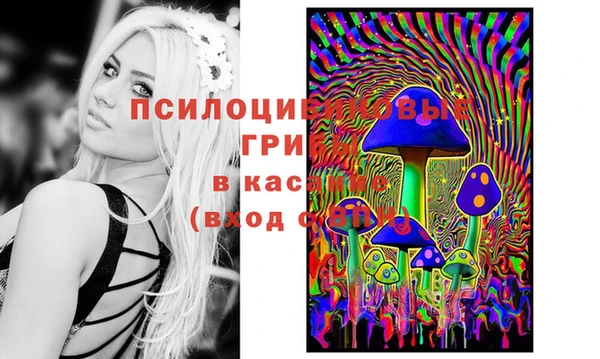 2c-b Алзамай