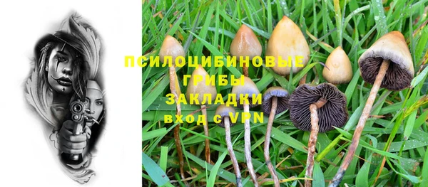 2c-b Алзамай