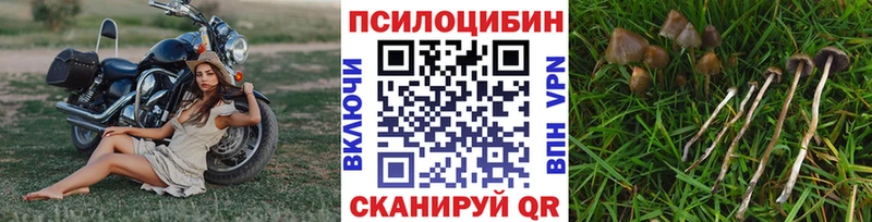 Галлюциногенные грибы MAGIC MUSHROOMS  Купить  Сатка 